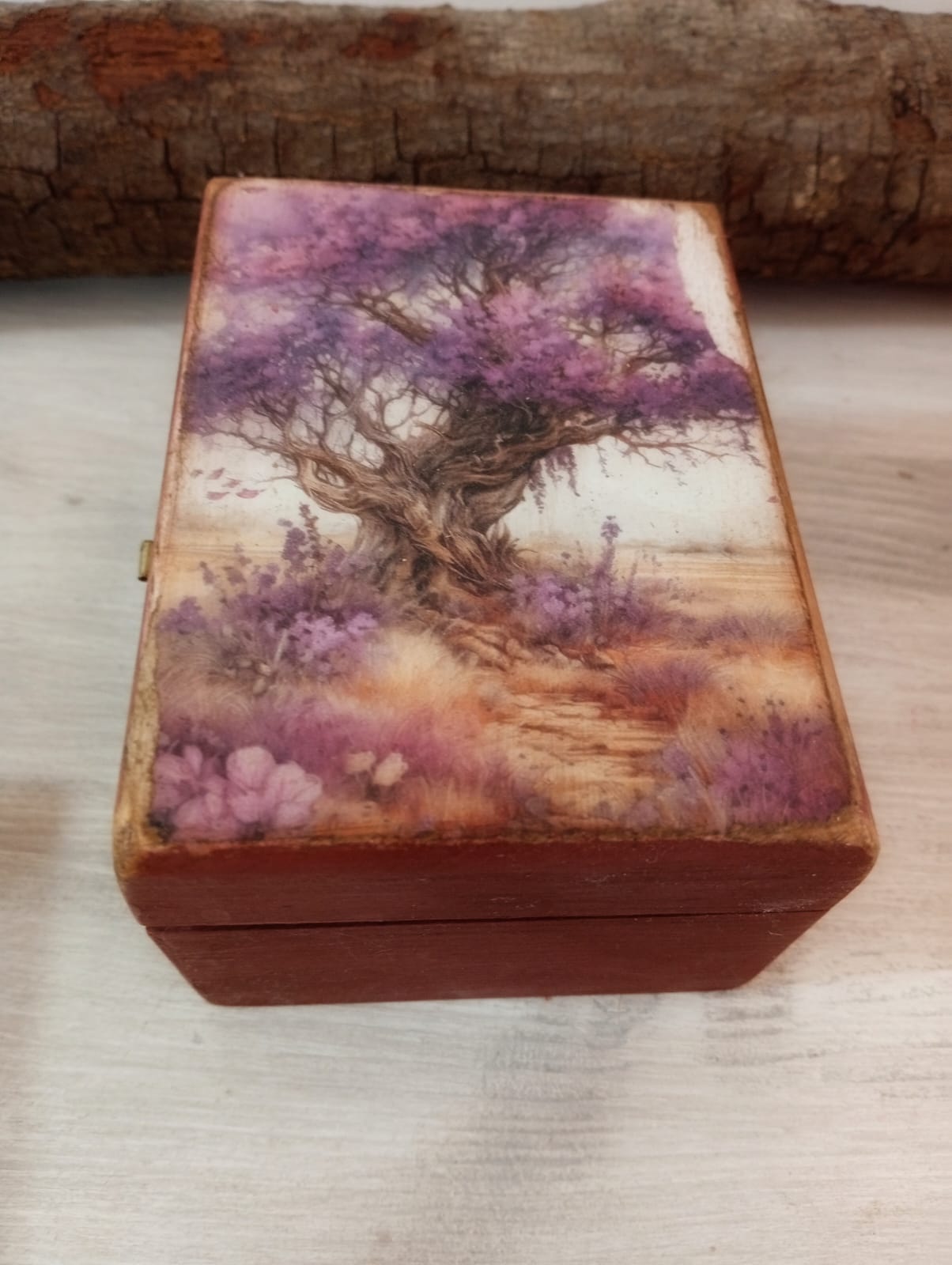 COLECCIÓN BOSQUE MÁGICO