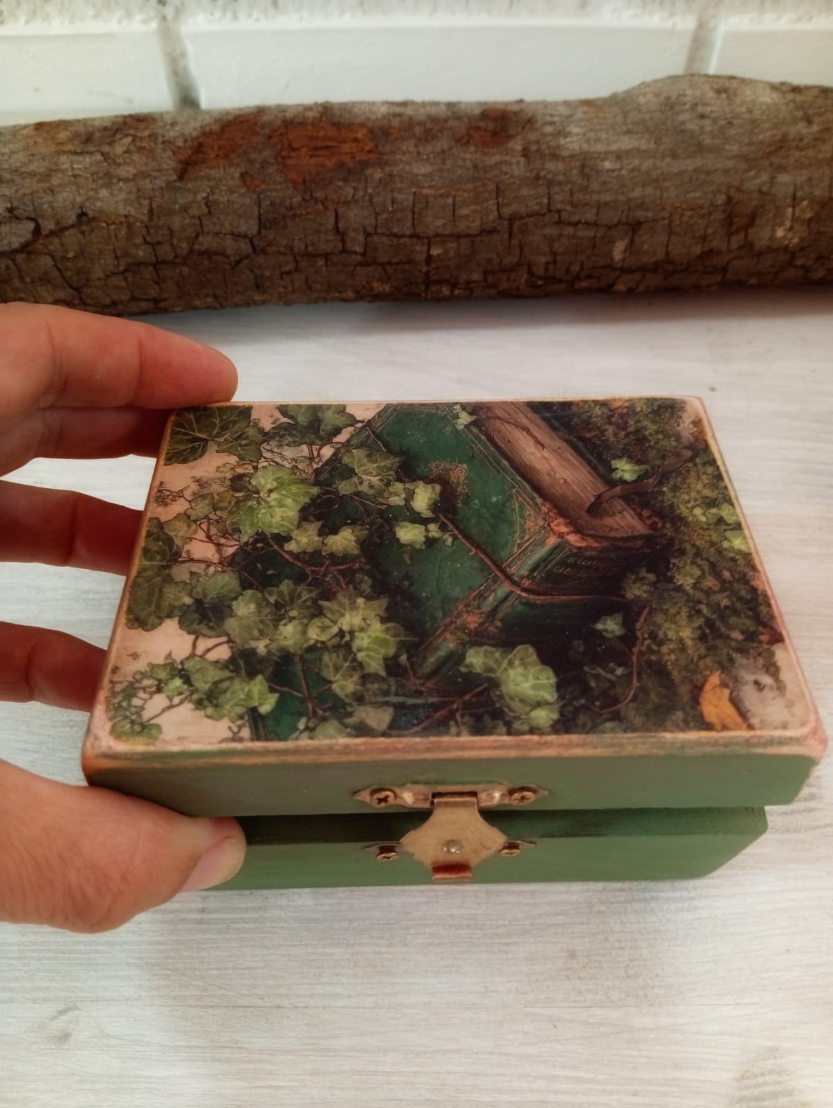 COLECCIÓN BOSQUE MÁGICO