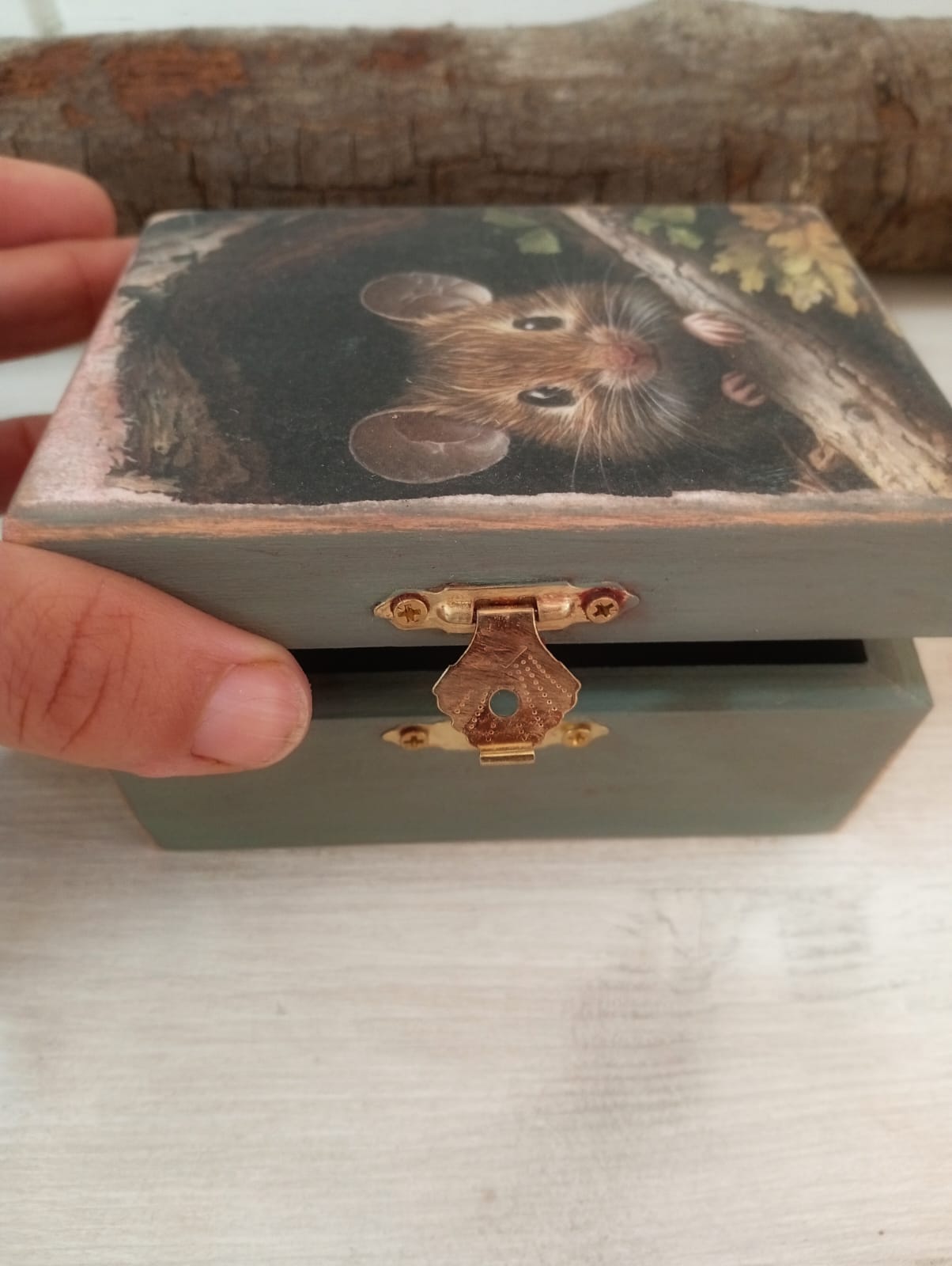 COLECCIÓN SERES DEL BOSQUE