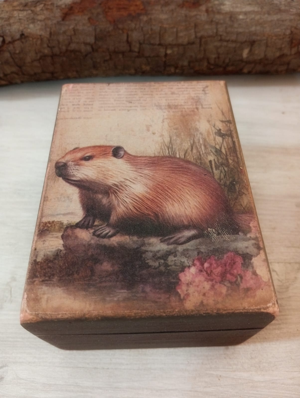 COLECCIÓN SERES DEL BOSQUE