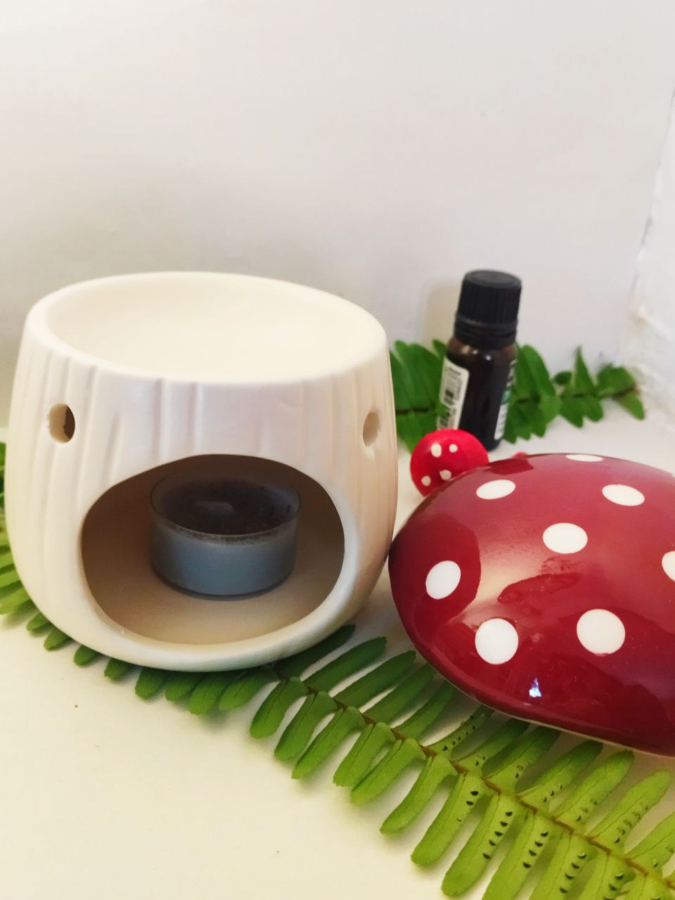 DIFUSOR MUSHROOM