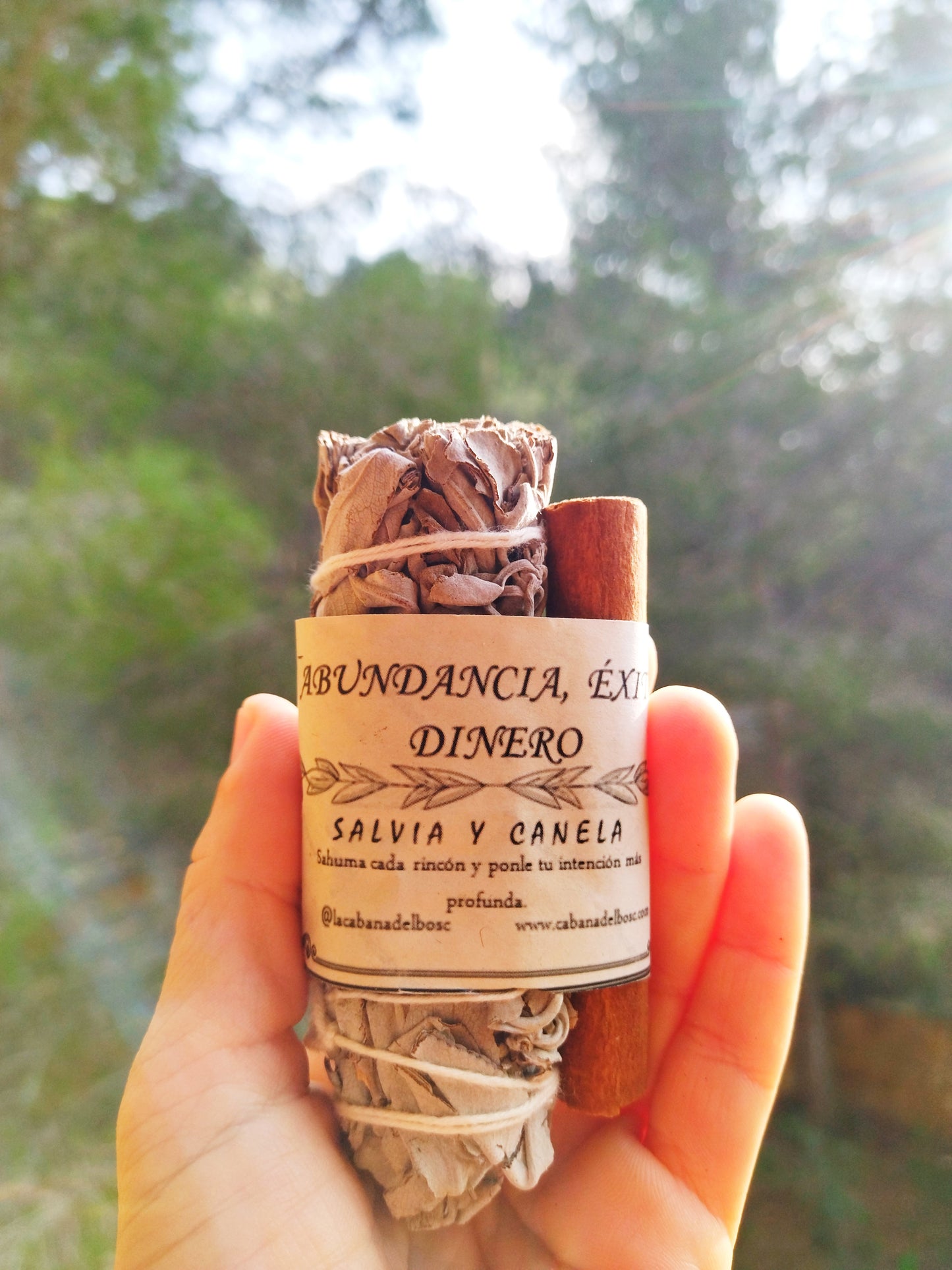 RITUAL ABUNDANCIA