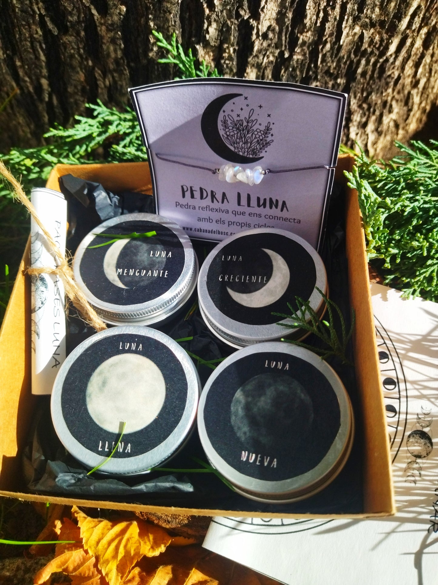 PACK 4 LUNAS
