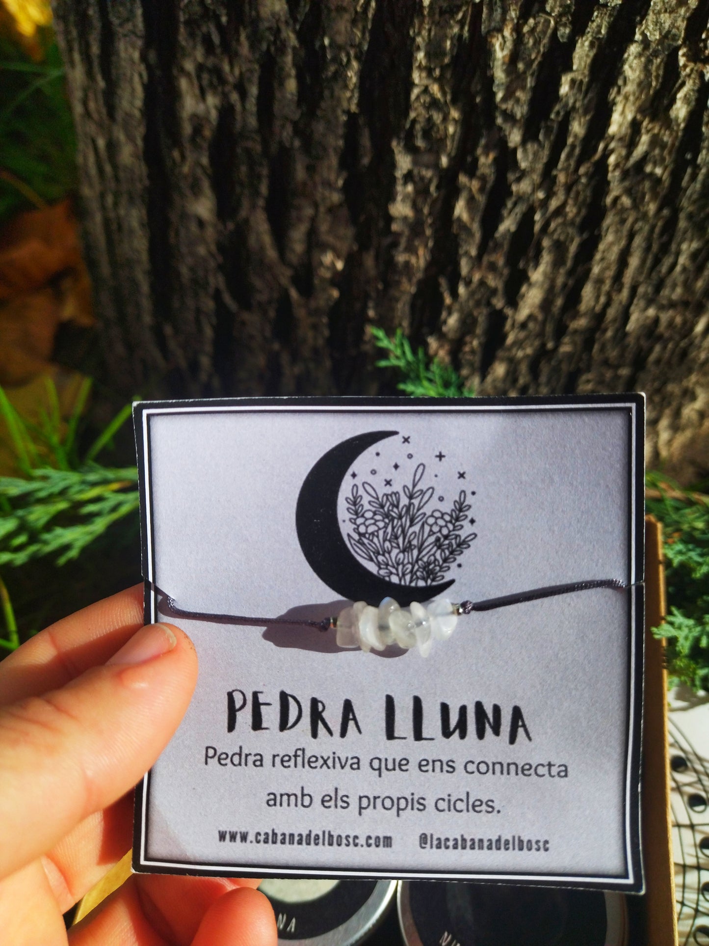 PACK 4 LUNAS