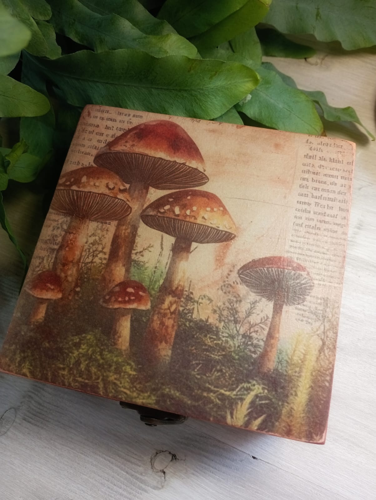 MYSTIC BOX BOSQUE ENCANTADO