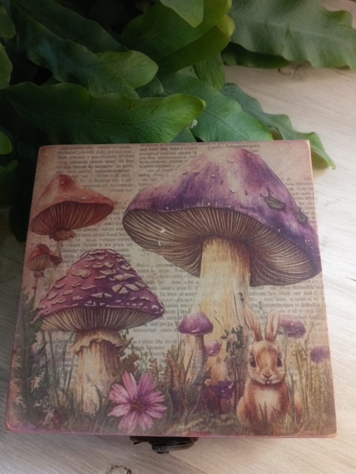 MYSTIC BOX BOSQUE ENCANTADO
