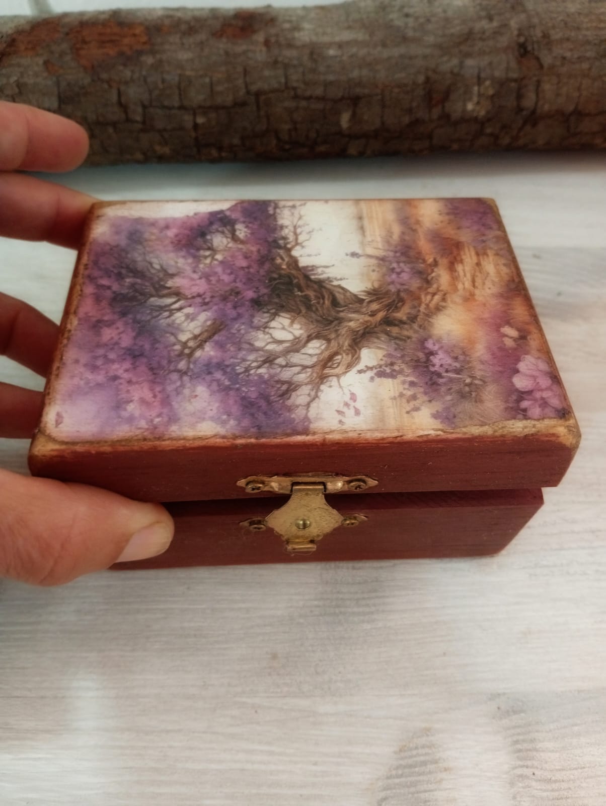 COLECCIÓN BOSQUE MÁGICO