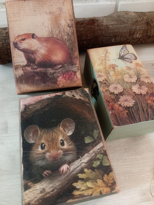 COLECCIÓN SERES DEL BOSQUE