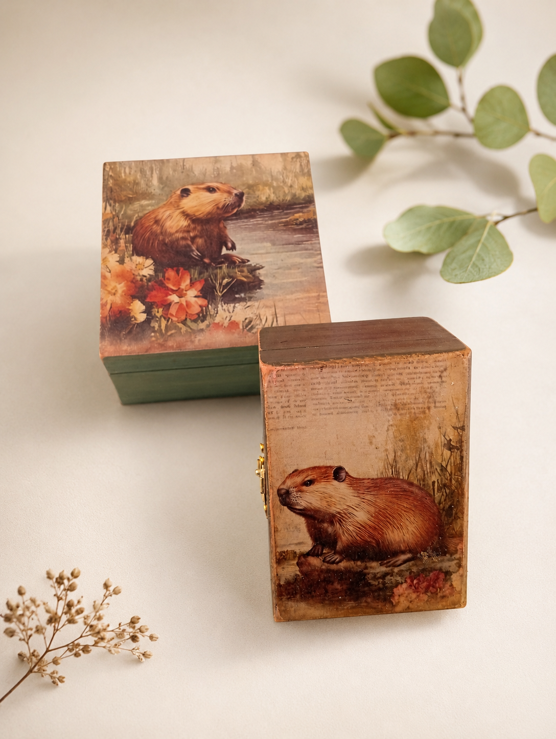 MYSTIC BOX TÓTEM NUTRIA