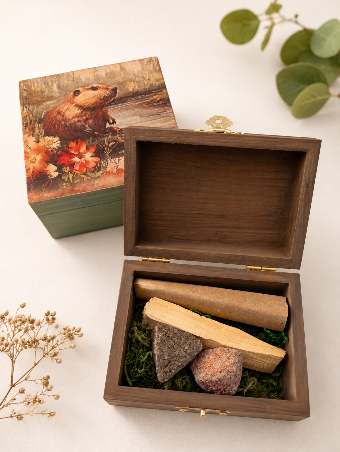 MYSTIC BOX TÓTEM NUTRIA