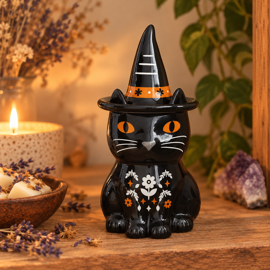 Gato negro