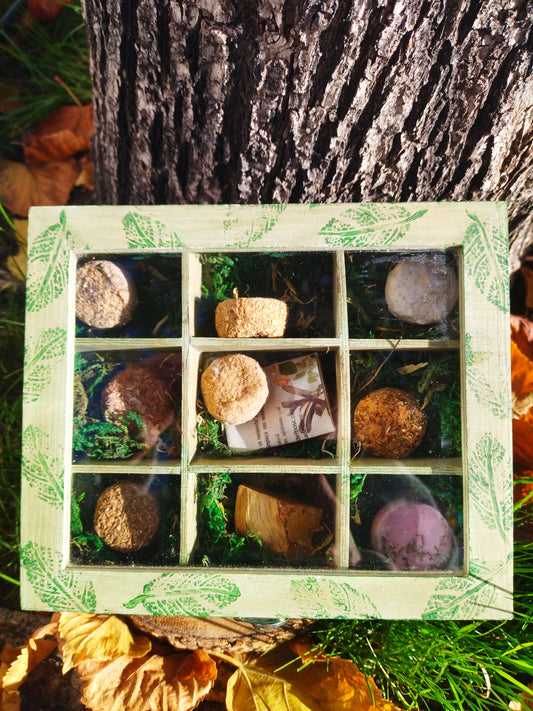 CAJA BRUJA VERDE