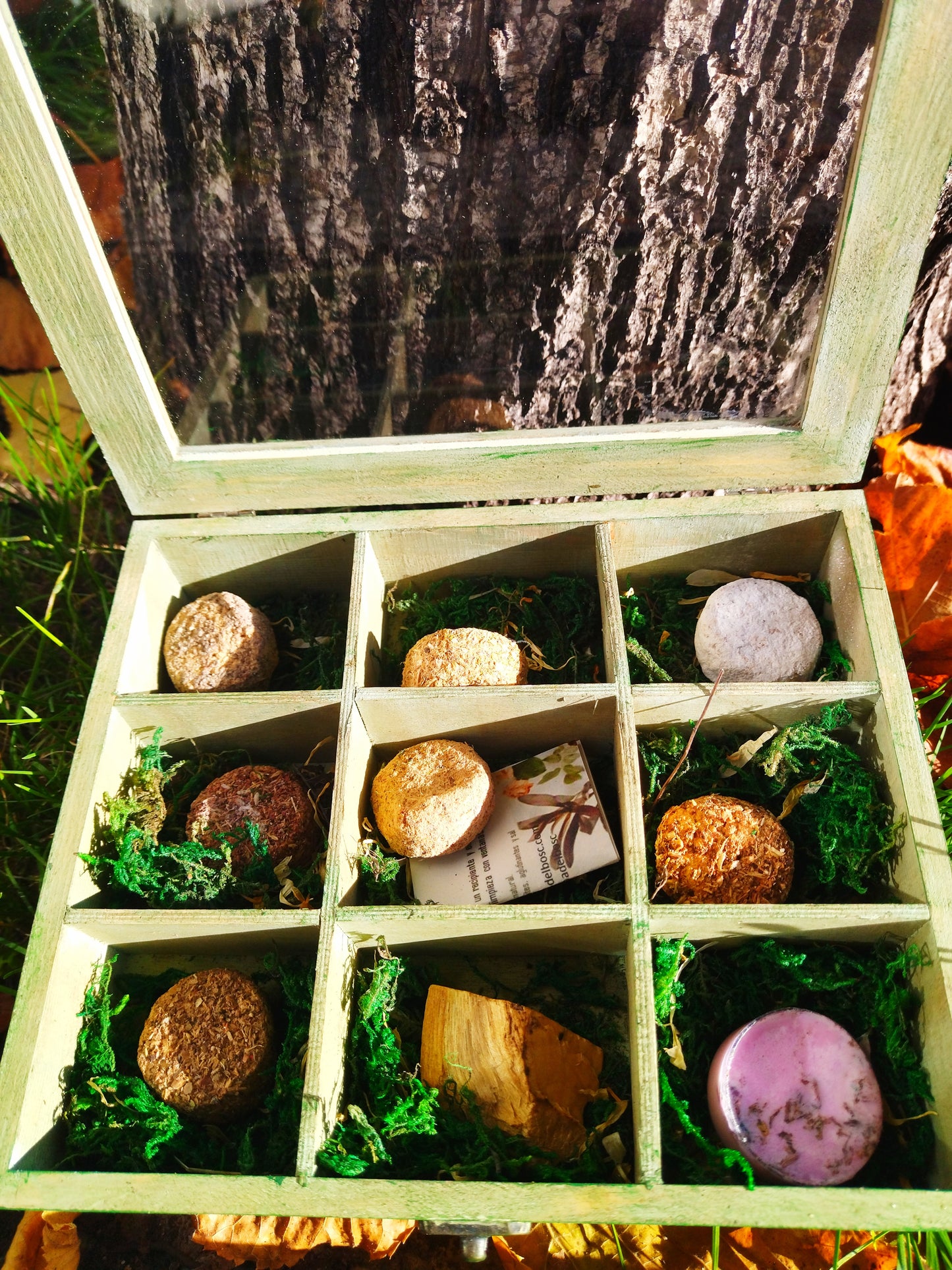 CAJA BRUJA VERDE