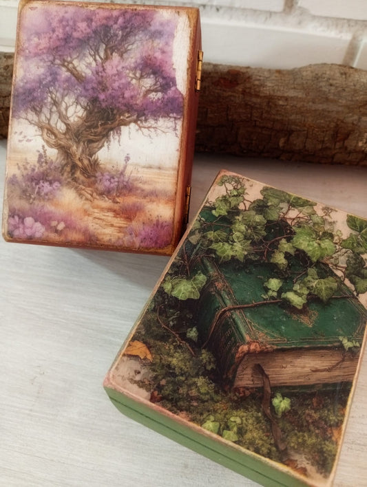 COLECCIÓN BOSQUE MÁGICO