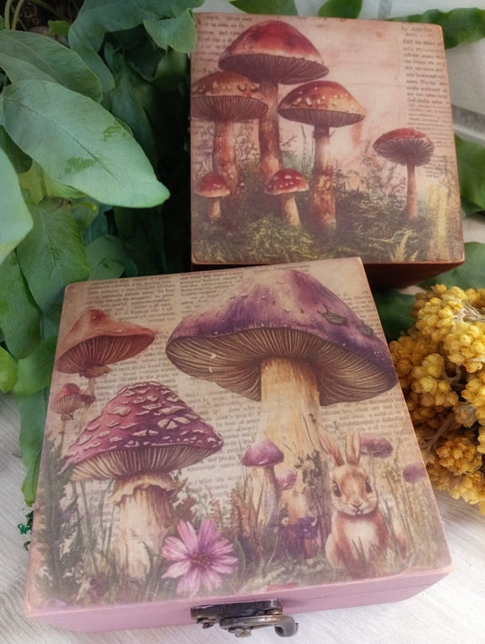 MYSTIC BOX BOSQUE ENCANTADO